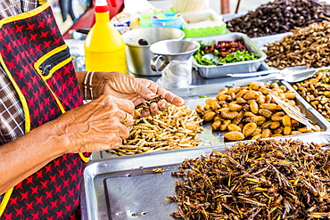 A market stall holder preparing an insect barbecue at Wat Chalong Temple in Phuket, Thailand, Southeast Asia, Asia