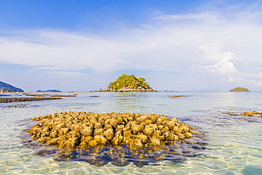 Exposed coral in Ko Lipe, in Tarutao National Marine Park, Thailand, Southeast Asia, Asia