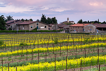 Landscape of Franciacorta region in Brescia province, Lombardy, Italy, Europe