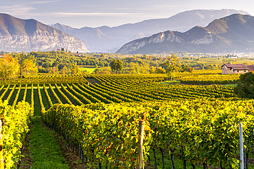 Landscape of Franciacorta region in Brescia province, Lombardy, Italy, Europe