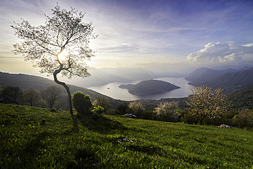 Sunset over Iseo lake and Monte Isola, Brescia province in Lombardy district, Italy.