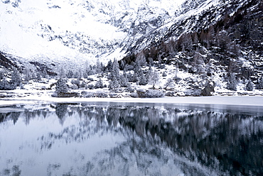 Aviolo Lake in Adamello Park, Vezza d'Oglio, Brescia province, Lombardy, Italy, Europe