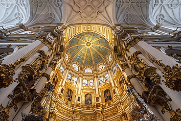 Ornamented ceilings with dome at the Cathedral of Granada interior, Granada, Andalucia, Spain, Europe