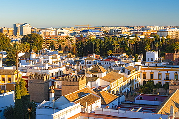 View of the historic center of Seville from the top of the Cathedral of Seville, Seville, Andalucia, Spain, Europe