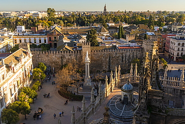 View of the historic center of Seville from the top of the Cathedral of Seville, Seville, Andalucia, Spain, Europe