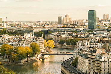 Ile Saint louis and Il de la Cite from Square of Saint-Jacques Tower, Paris, France, Europe