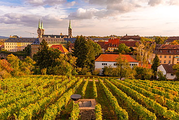 Wine fields by Altenburg, old fortress in Bamberg, UNESCO World Heritage Site, Bavaria, Germany, Europe