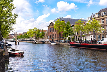 Oude Vest, Canal in the old town of Leiden with historic houses in the background, Leiden, South Holland, The Netherlands, Europe