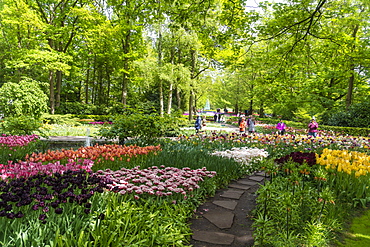 Tulip displays and flowers in Kuekenhof in Lisse, South Holland, The Netherlands, Europe