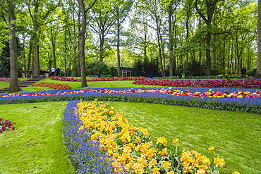 Tulip displays and flowers in Kuekenhof in Lisse, South Holland, The Netherlands, Europe