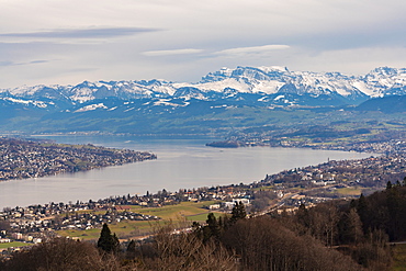 View of Zurich lake and city with the mountains in the background from Uetli mountain, Zurich, Switzerland, Europe