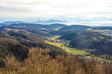 View of fields around Zurich with the Alps in the background from Uetliberg, Zurich, Switzerland, Europe