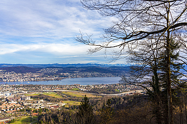 Panoramic view of zurich lake from above