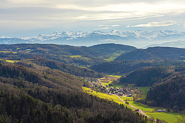 Panoramic landscape view of nature surrounding Zurich with mountains in the background