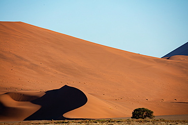 Sossusvlei National Park, sunset at Dune along the main highway to Deadvlei, Namibia, Africa