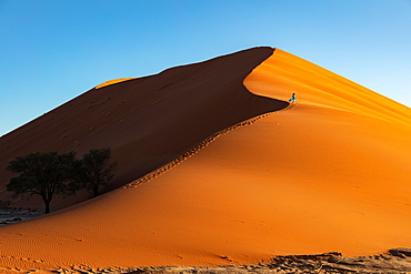 Drone shot of model Climbing Dune 13 at sunrise, Sossusvlei, Namibia, Africa