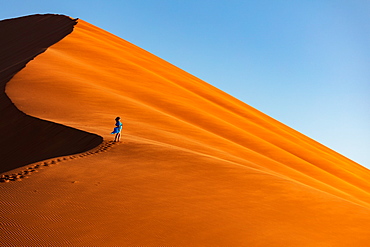 Drone shot of model Climbing Dune 13, Sossusvlei, Namibia, Africa