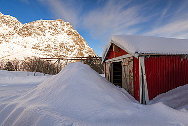 Red fishermans hut partially buried in large snow drift with cod racks and mountain backdrop, Lofoten, Arctic, Norway, Europe