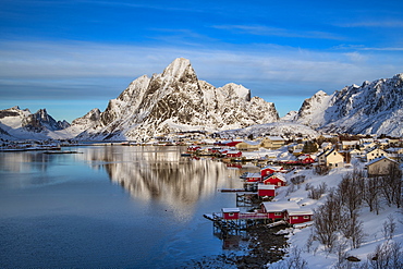 Reine fishing village in winter, Reinefjord, Moskenesoya, Lofoten, Arctic, Norway, Europe