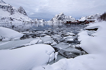 Traditional houses at Reine, Moskenes, in the Lofoten Islands in winter, Arctic, Norway, Europe