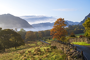 Autumn scene, Borrowdale, Lake District National Park, UNESCO World Heritage Site, Cumbria, England, United Kingdom, Europe