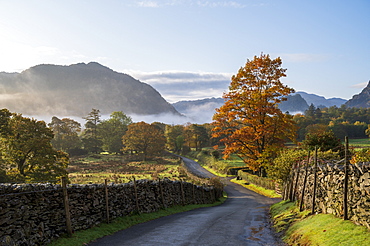 Autumn scene with morning mist in autumn, Borrowdale, Lake District National Park, UNESCO World Heritage Site, Cumbria, England, United Kingdom, Europe