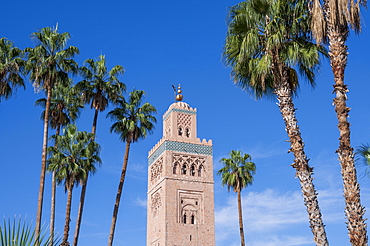 Koutoubia Mosque with palm trees, UNESCO World Heritage Site, Marrakech (Marrakesh), Morocco, North Africa, Africa