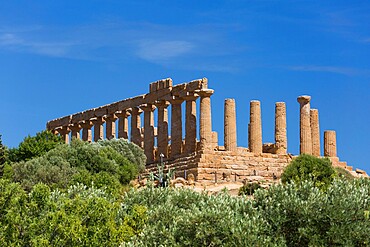 View over trees to the hilltop Temple of Hera (Temple of Juno), in the UNESCO World Heritage Site listed Valley of the Temples, Agrigento, Sicily, Italy, Mediterranean, Europe