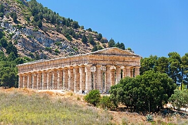 Well-preserved remains of the Doric temple at the ancient Greek city of Segesta, Calatafimi, Trapani, Sicily, Italy, Mediterranean, Europe