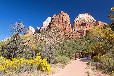 View along the Pa'rus Trail to Mount Spry and the East Temple, autumn, Zion National Park, Utah, United States of America, North America