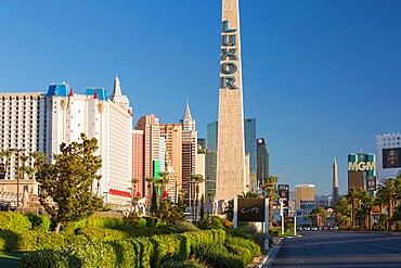 View along The Strip, early morning, replica Egyptian obelisk outside the Luxor Hotel and Casino, Las Vegas, Nevada, United States of America, North America