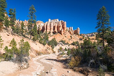 View to typical rock hoodoos from the Mossy Cave Trail, Water Canyon, Bryce Canyon National Park, Utah, United States of America, North America