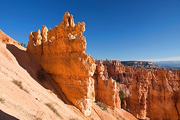 Colourful rock formation in the Queen's Garden beside the Navajo Loop Trail, Bryce Canyon National Park, Utah, United States of America, North America