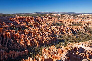 View over Bryce Amphitheatre from the Rim Trail at Bryce Point, Bryce Canyon National Park, Utah, United States of America, North America