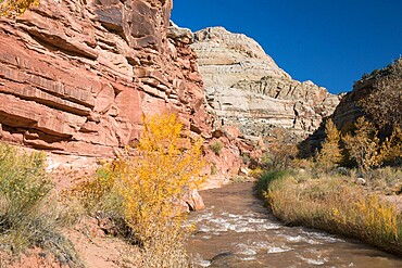 View along the Fremont River to Capitol Dome from the Hickman Bridge Trail, Fruita, Capitol Reef National Park, Utah, United States of America, North America