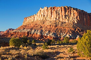 Sandstone cliffs of the Waterpocket Fold towering above Scenic Drive, sunset, Fruita, Capitol Reef National Park, Utah, United States of America, North America