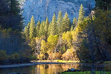 View along the tranquil Merced River below Stoneman Bridge, autumn, Yosemite Village, Yosemite National Park, UNESCO World Heritage Site, California, United States of America, North America