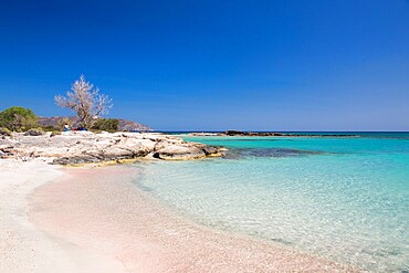 View across clear turquoise waters from pink sand beach, Elafonisi Island, Elafonisi, Hania (Chania), Crete, Greek Islands, Greece, Europe