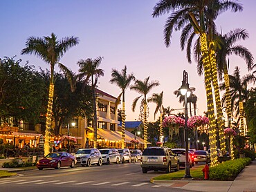 View along palm-lined 13th Avenue South in the heart of the city's premier dining district, dusk, Naples, Florida, United States of America, North America