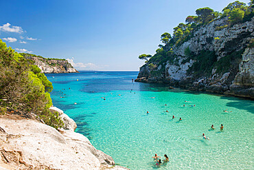 View over the turquoise waters of Cala Macarelleta to pine-clad limestone cliffs, Cala Galdana, Menorca, Balearic Islands, Spain, Mediterranean, Europe