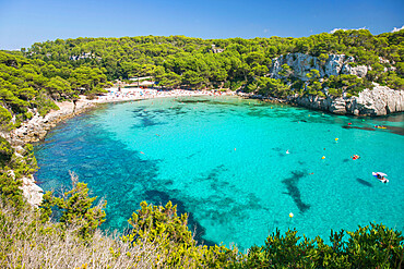 View over the turquoise waters of Cala Macarella to pine-fringed sandy beach, Cala Galdana, Menorca, Balearic Islands, Spain, Mediterranean, Europe