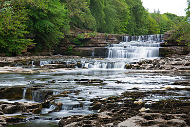 Lower Aysgarth Falls on the River Ure, near Leyburn, Wensleydale, Yorkshire Dales National Park, North Yorkshire, England, United Kingdom, Europe