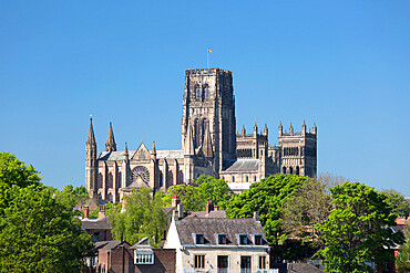 View across treetops to Durham Cathedral in spring, UNESCO World Heritage Site, Durham, County Durham, England, United Kingdom, Europe