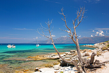 View across turquoise water to Cap Corse from rocky coastline near the Plage du Loto, St-Florent, Haute-Corse, Corsica, France, Mediterranean, Europe