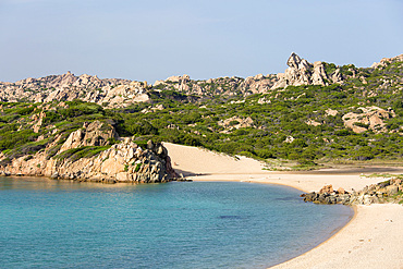 Shallow turquoise waters lapping shore of the Spiaggia Monti d'a Rena (Monte d'Arena) (Monte di Rena), La Maddalena Island, La Maddalena Archipelago National Park, Sassari, Sardinia, Italy, Mediterranean, Europe