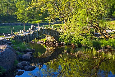 16th century Slater's Bridge reflected in the River Brathay, Little Langdale, Lake District National Park, UNESCO World Heritage Site, Cumbria, England, United Kingdom, Europe