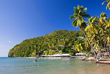 The Caribbean Sea off LaBas Beach, coconut palms at water's edge, Marigot Bay, Castries, St. Lucia, Windward Islands, Lesser Antilles, West Indies, Caribbean, Central America