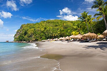 View along beach from the water's edge, Anse Chastanet, Soufriere, St. Lucia, Windward Islands, Lesser Antilles, West Indies, Caribbean, Central America