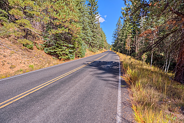 Cape Royal Road winding thru Fuller Canyon at Grand Canyon North Rim Arizona.