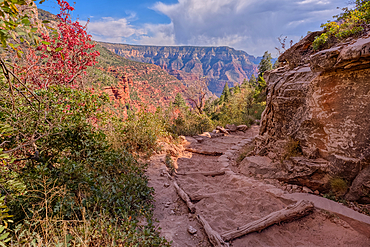 A curve in the North Kaibab Trail between Coconino Overlook and the Supai Tunnel Rest Area, Grand Canyon, Arizona, United States of America